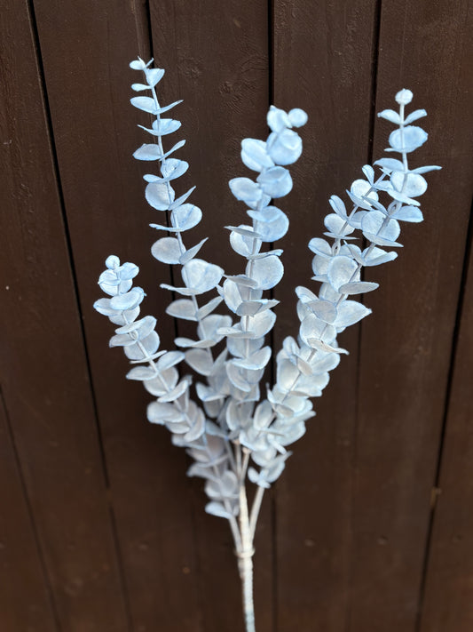 LONG STEM EUCALYPTUS BABY BLUE