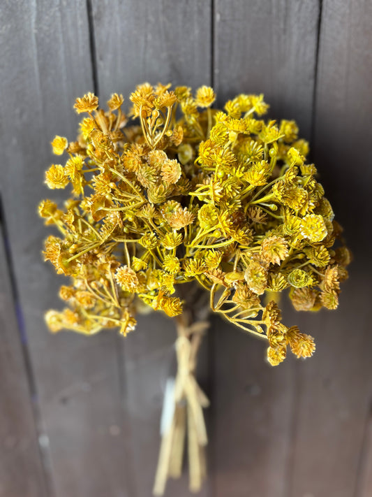 DRIED LOOK GYP BUNCH HONEY