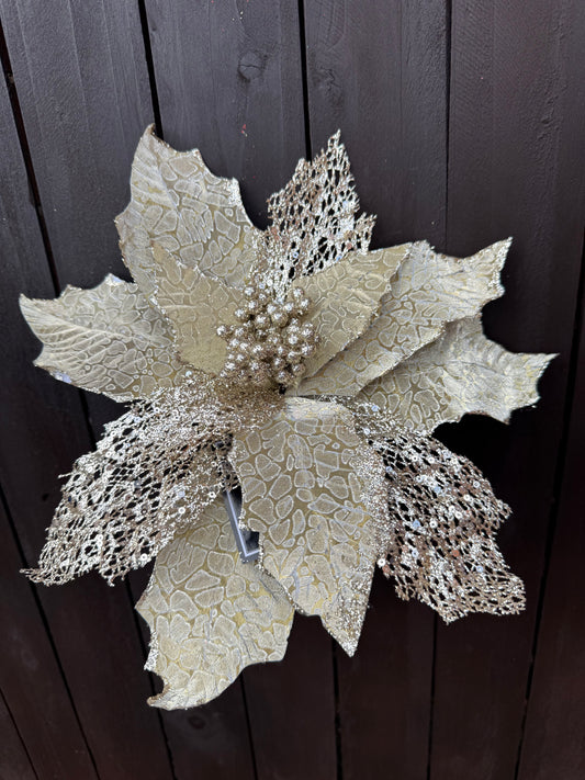 28cm OIL POINSETTIA CHAMPAGNE