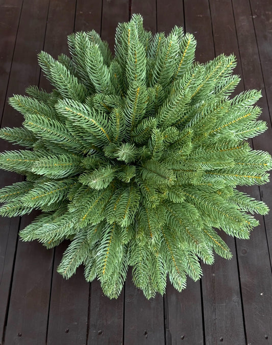 GIANT SPRUCE KISSING BALLS - made to order 2 weeks despatch