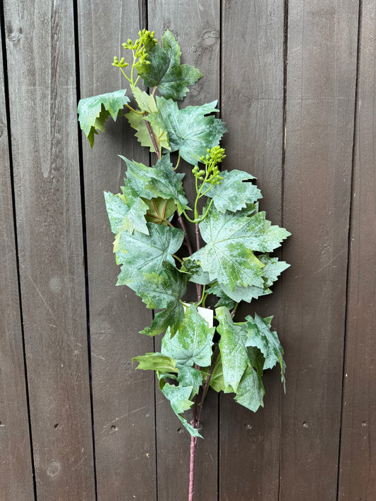 WILD DELUXE GRAPE LEAF SPRAY GREEN