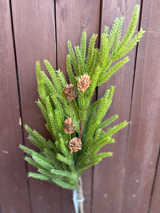 71cm REAL TOUCH NORFOLK PINE & CONE SPRAY