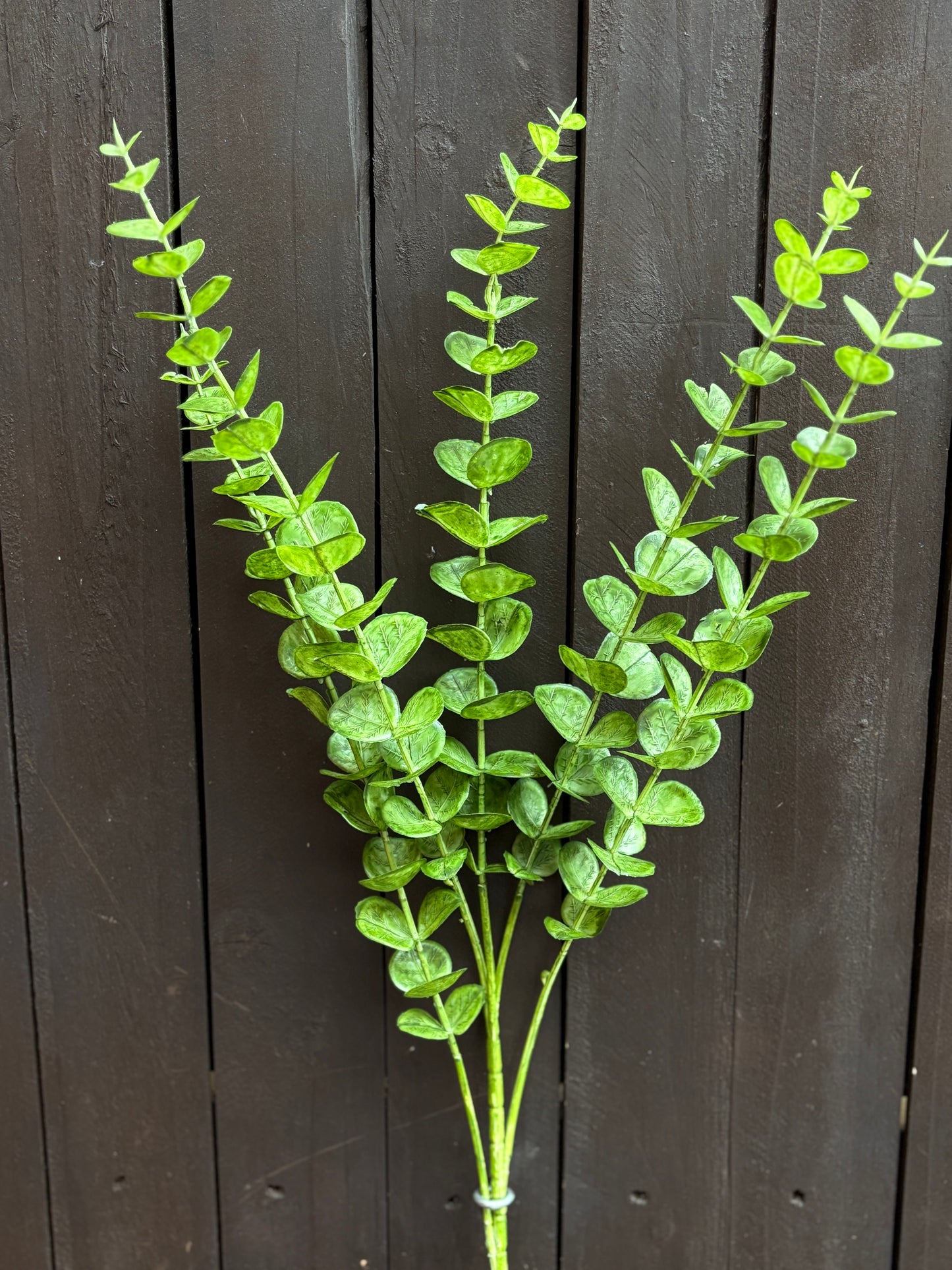 LONG STEM EUCALYPTUS DARK GREEN