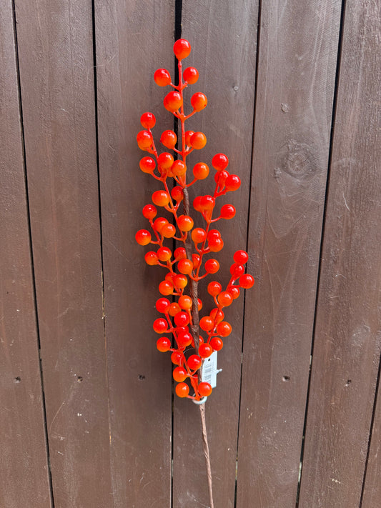 SEASONAL BERRY PICK ORANGE