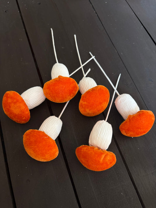 PACK 6 MUSHROOM PICK BURNT ORANGE