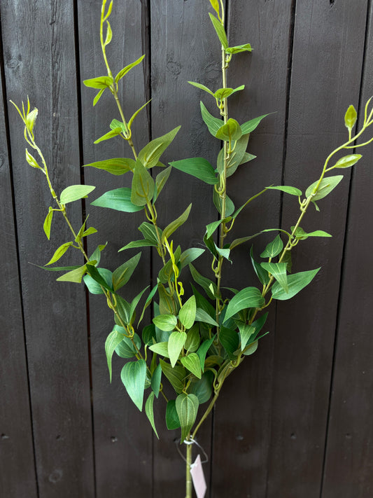 89cm ITALIAN RUSCUS FOLIAGE SPRAY GREEN