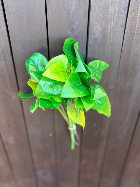32cm BUDGET POTHOS BUSH GREEN