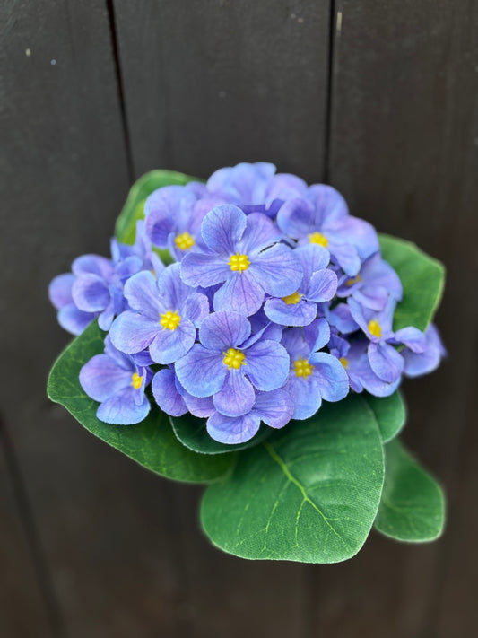 AFRICAN VIOLET BUNCH LILAC