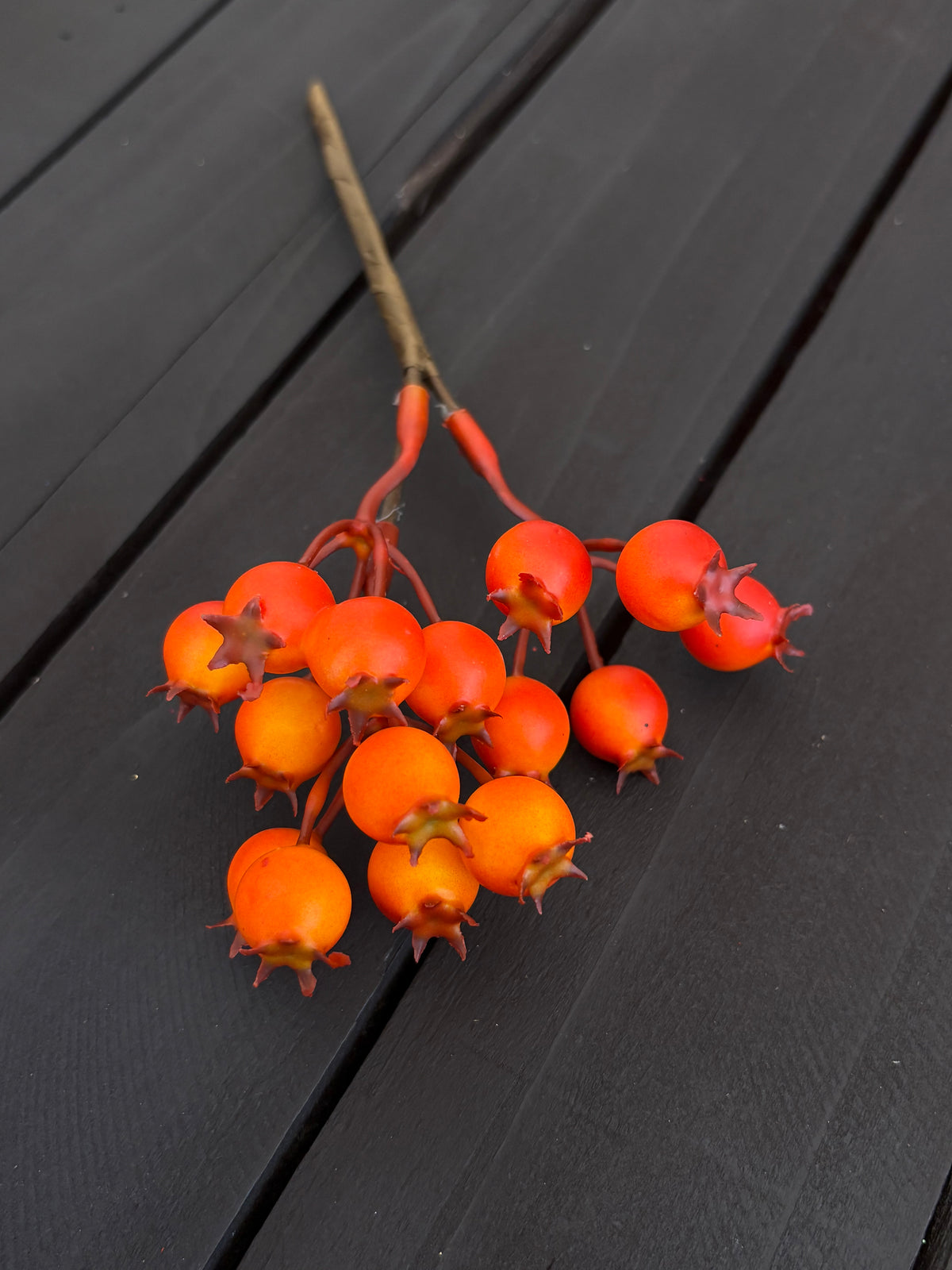 PACK 12 20cm GLOSSY ROSEHIP ORANGE