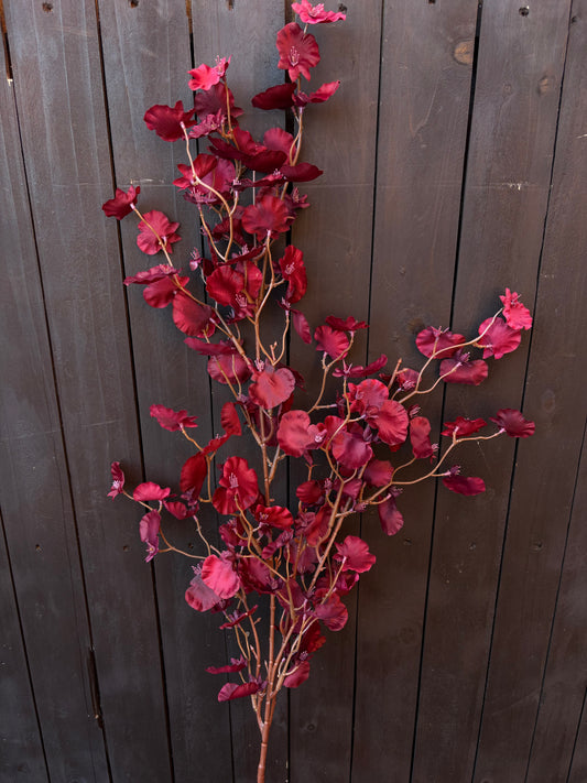 105cm DANCING LADY STEM BURGUNDY