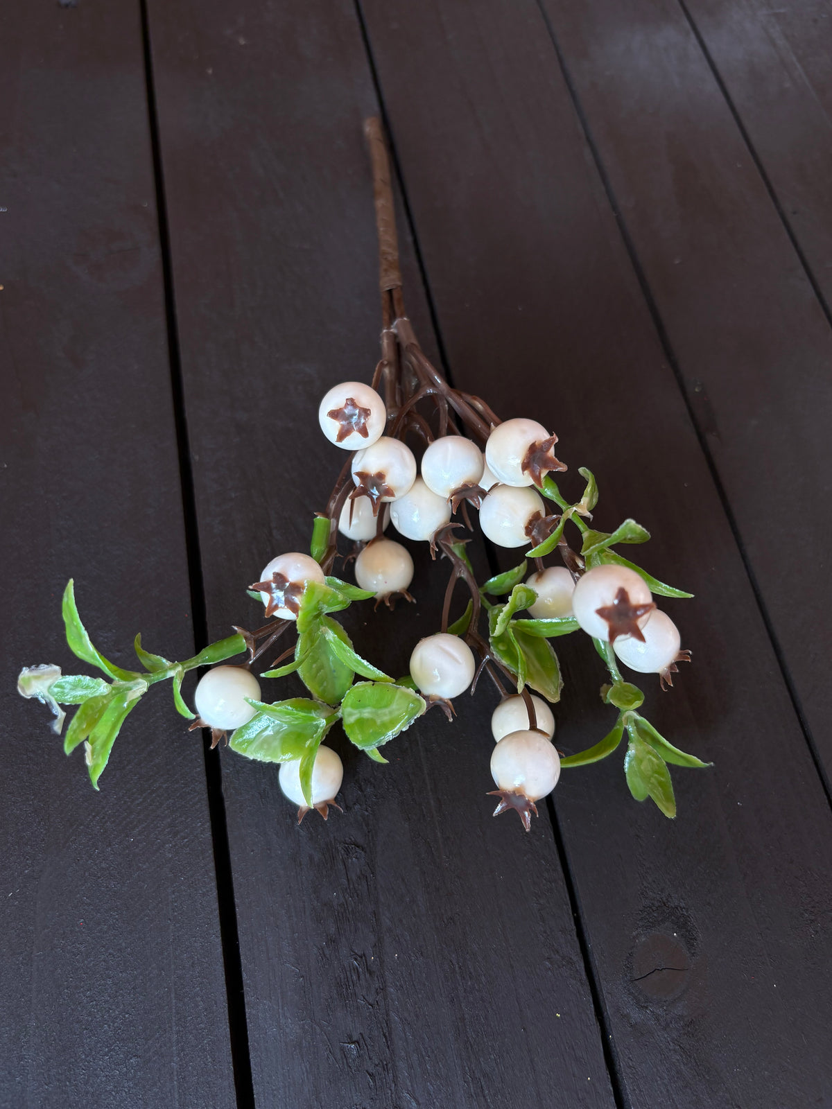 PACK 12 23cm LEAFY ROSEHIP IVORY