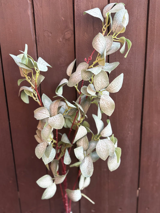 MAGNOLIA LEAF BRANCH