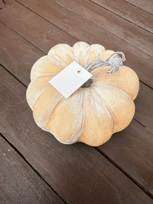 14CM MEDIUM SINGLE VELVET PUMPKIN IVORY