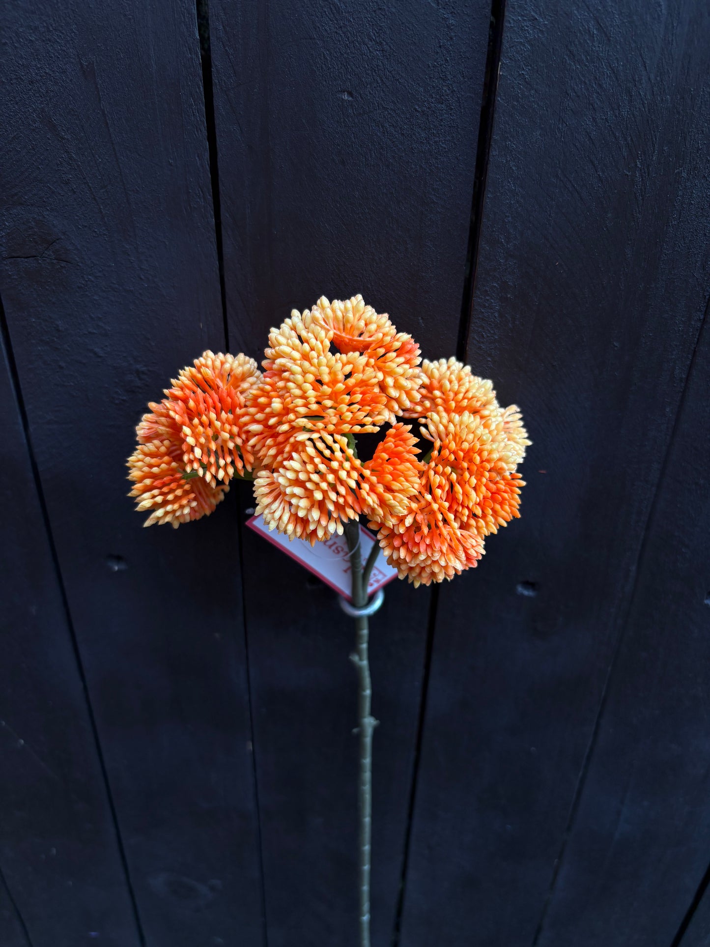 46cm WILD BERRY SPRAY ORANGE