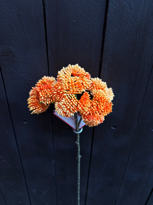 46cm WILD BERRY SPRAY ORANGE