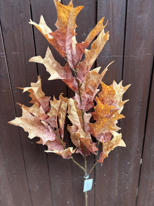 DRIED TOUCH LEAF BRANCH HONEY