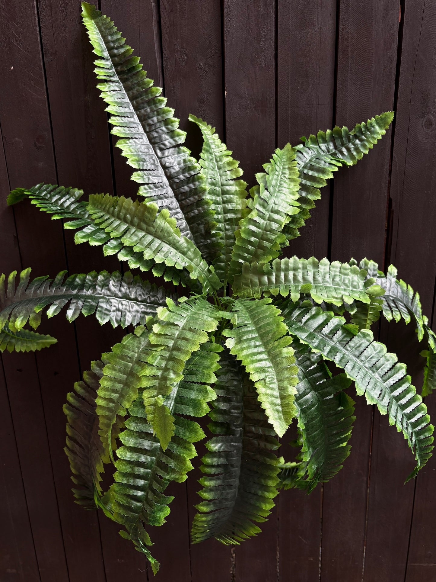 55cm LARGE BOSTON FERN BUSH GREEN
