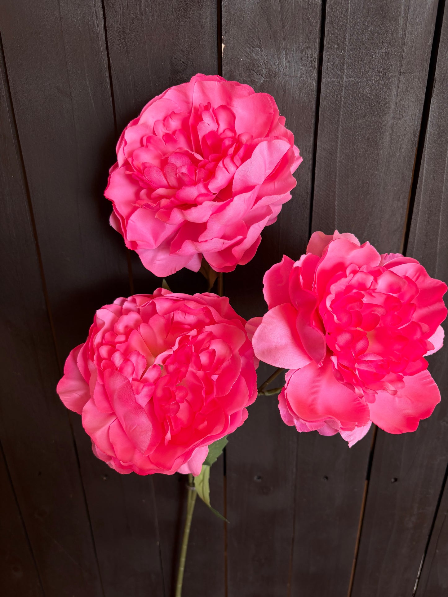 TRIPLE LARGE PEONY STEM HOT PINK