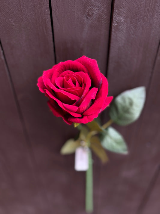 52CM SINGLE LARGE VELVET TOUCH OPEN ROSE RED