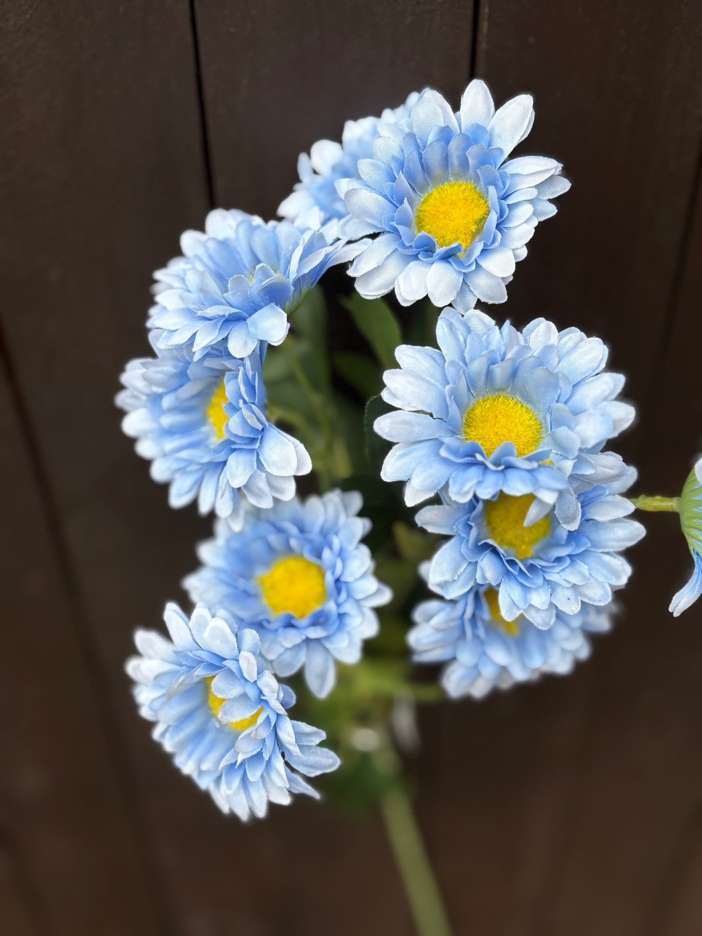 SILK WILD DAISY SPRAY PALE BLUE