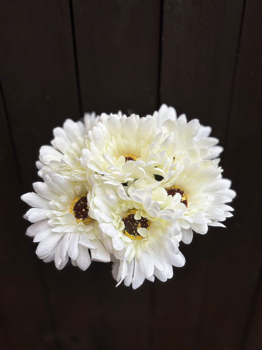 23cm GERBERA BUNDLE (6 STEMS) IVORY