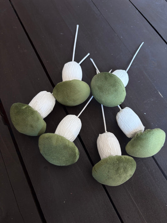PACK 6 MUSHROOM PICK SAGE GREEN