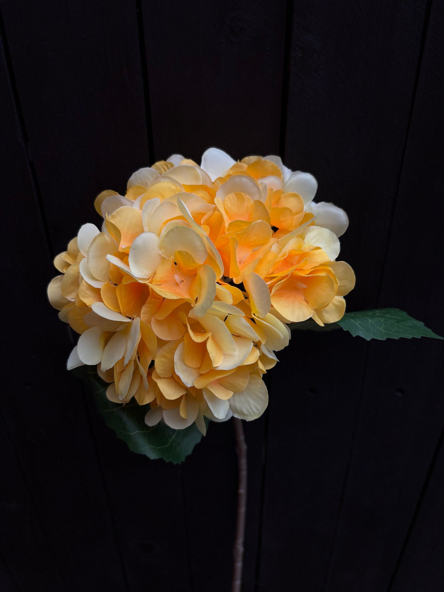 46cm SINGLE HYDRANGEA YELLOW