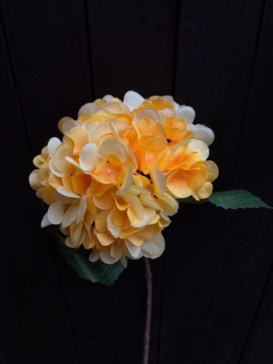 46cm SINGLE HYDRANGEA YELLOW