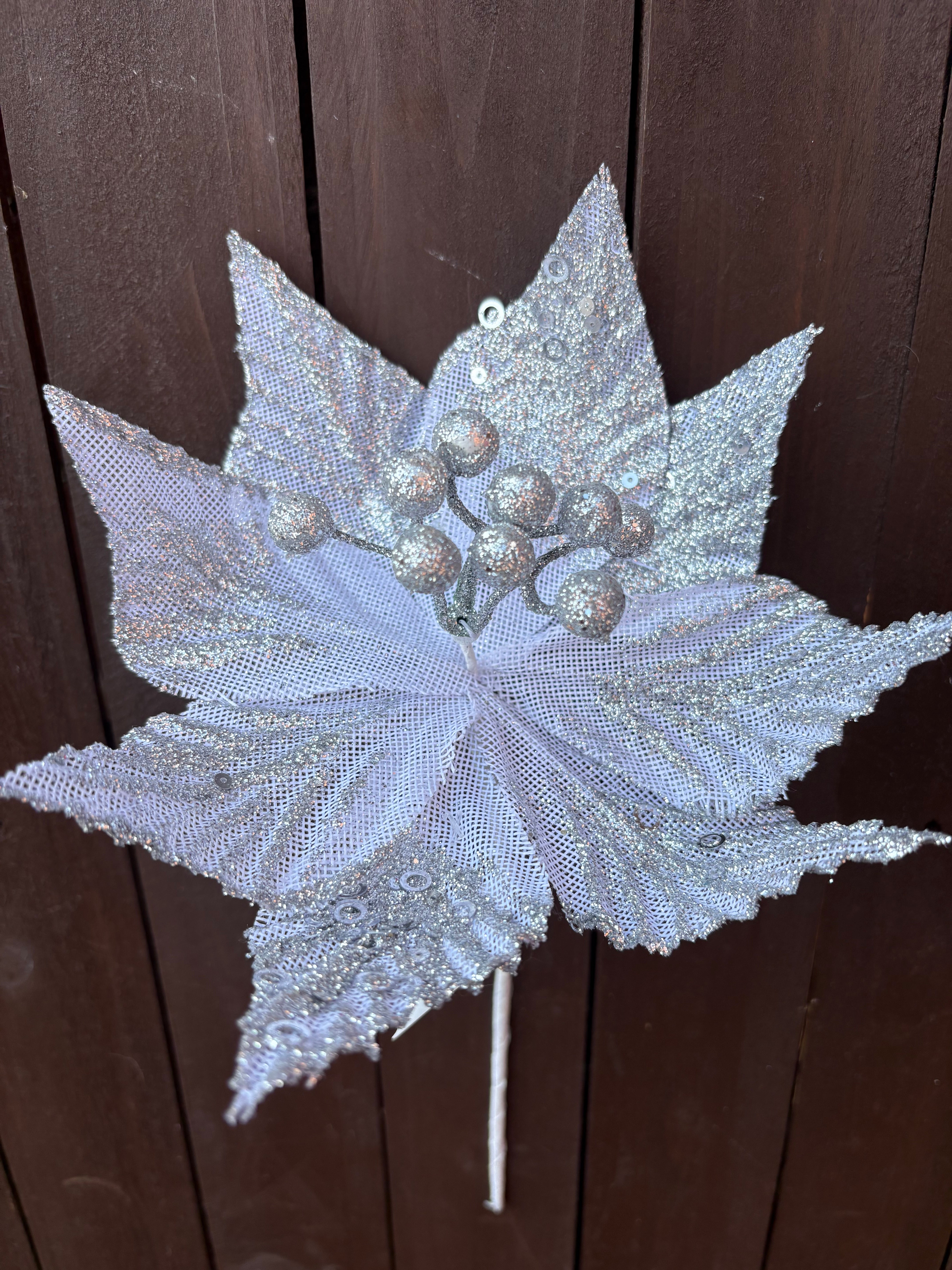 POINSETTIA