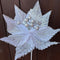 POINSETTIA