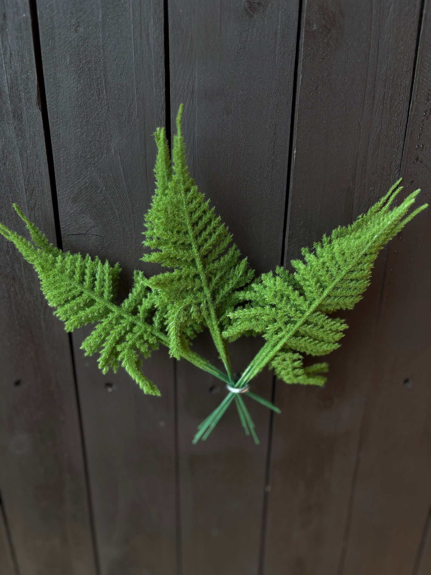 PACK 12 17cm FLOCKED ASPARAGUS FERN LEAF