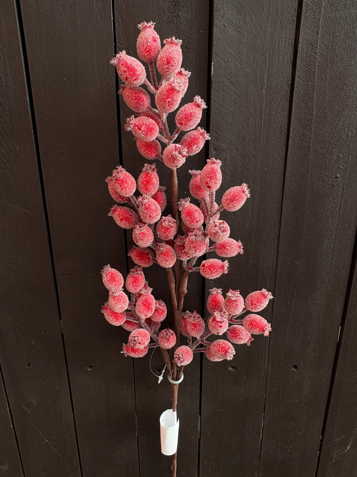 64cm CRYSTALLISED ROSEHIP STEM