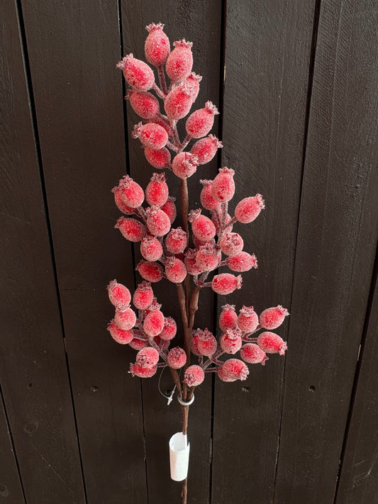 64cm CRYSTALLISED ROSEHIP STEM