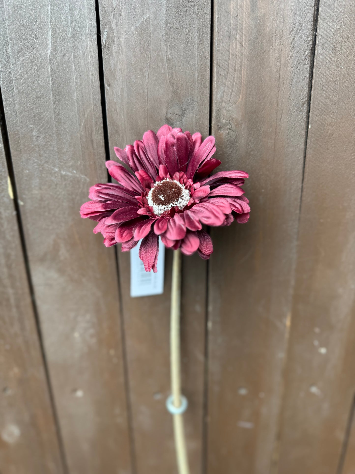 53cm SINGLE GERBERA BURGUNDY