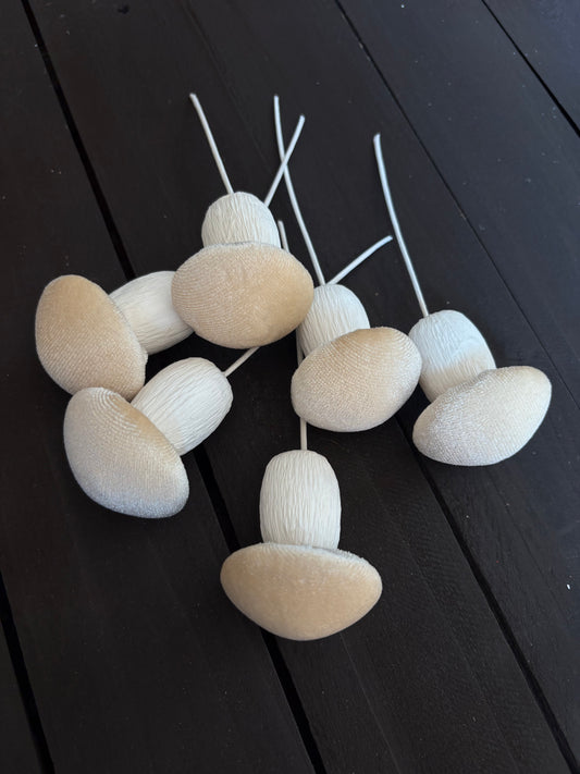 PACK 6 MUSHROOM PICK CREAM