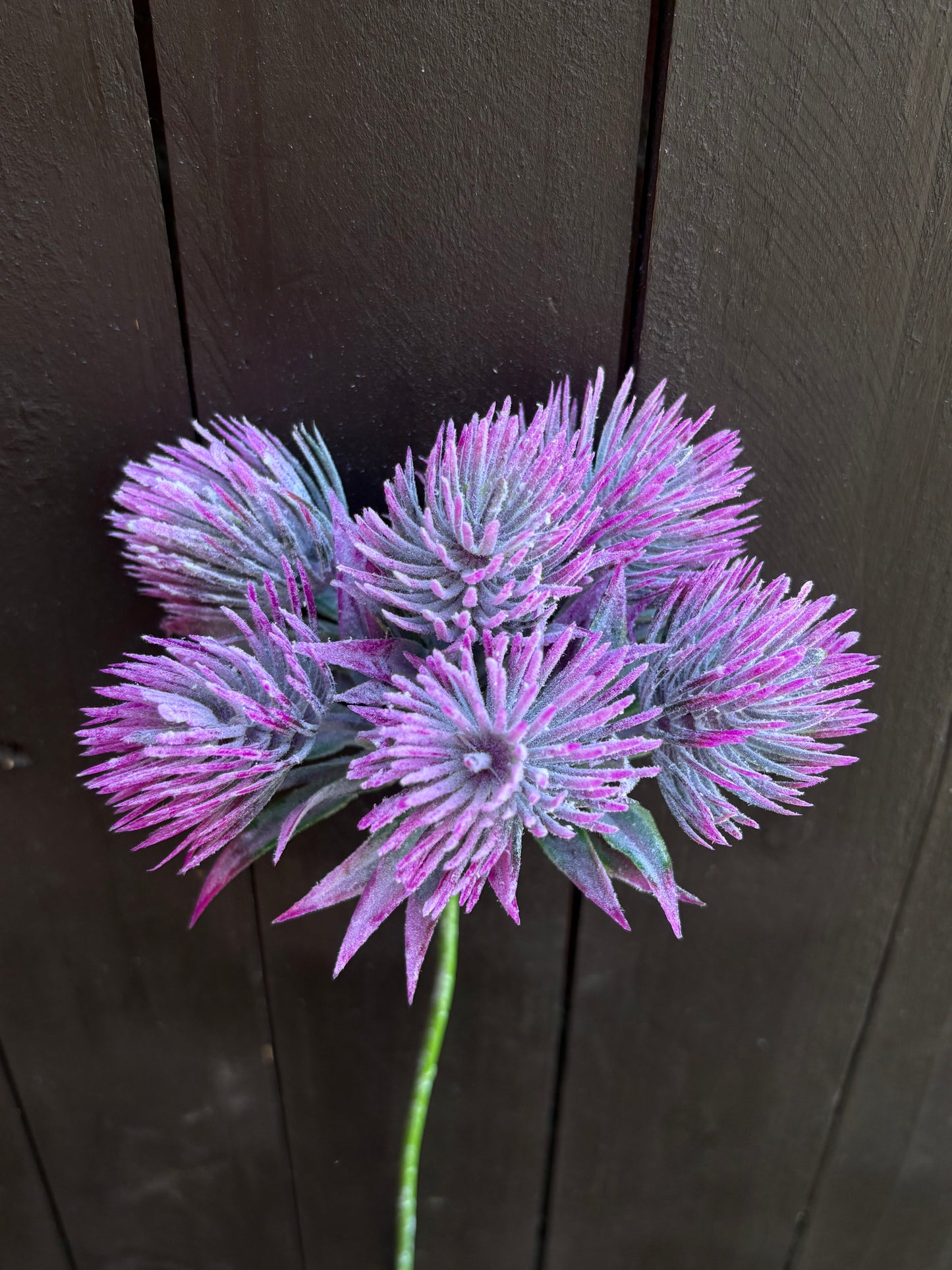 31cm TROPIC THISTLE STEM PINK