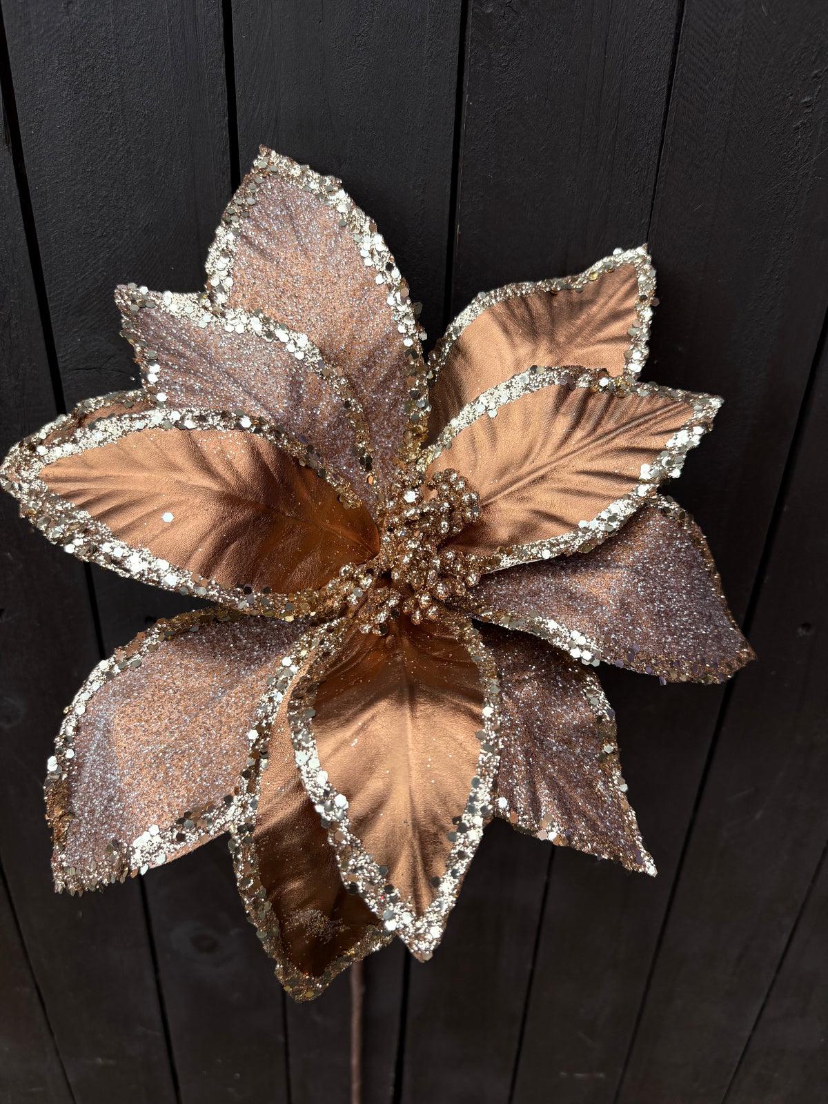 50cm FROST CARAMEL POINSETTIA