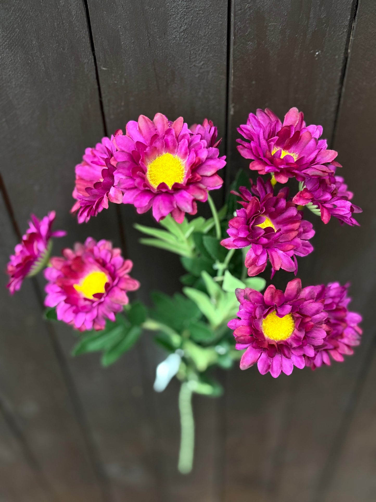 SILK WILD DAISY SPRAY MAGENTA