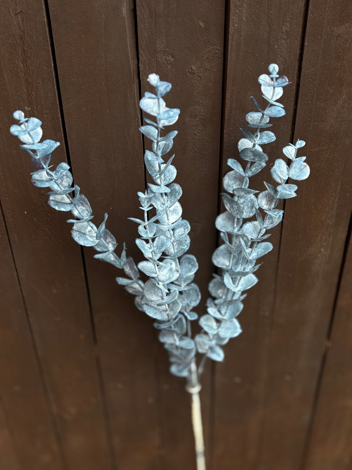 LONG STEM EUCALYPTUS DARK BLUE