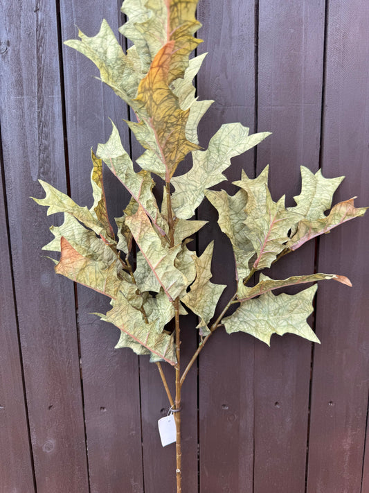 DRIED TOUCH WINTER BRANCH GREEN
