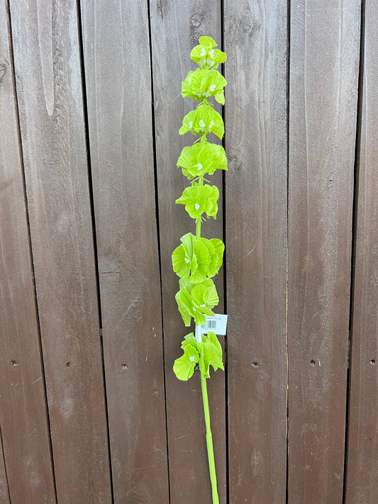 74cm BELLS OF IRELAND GREEN