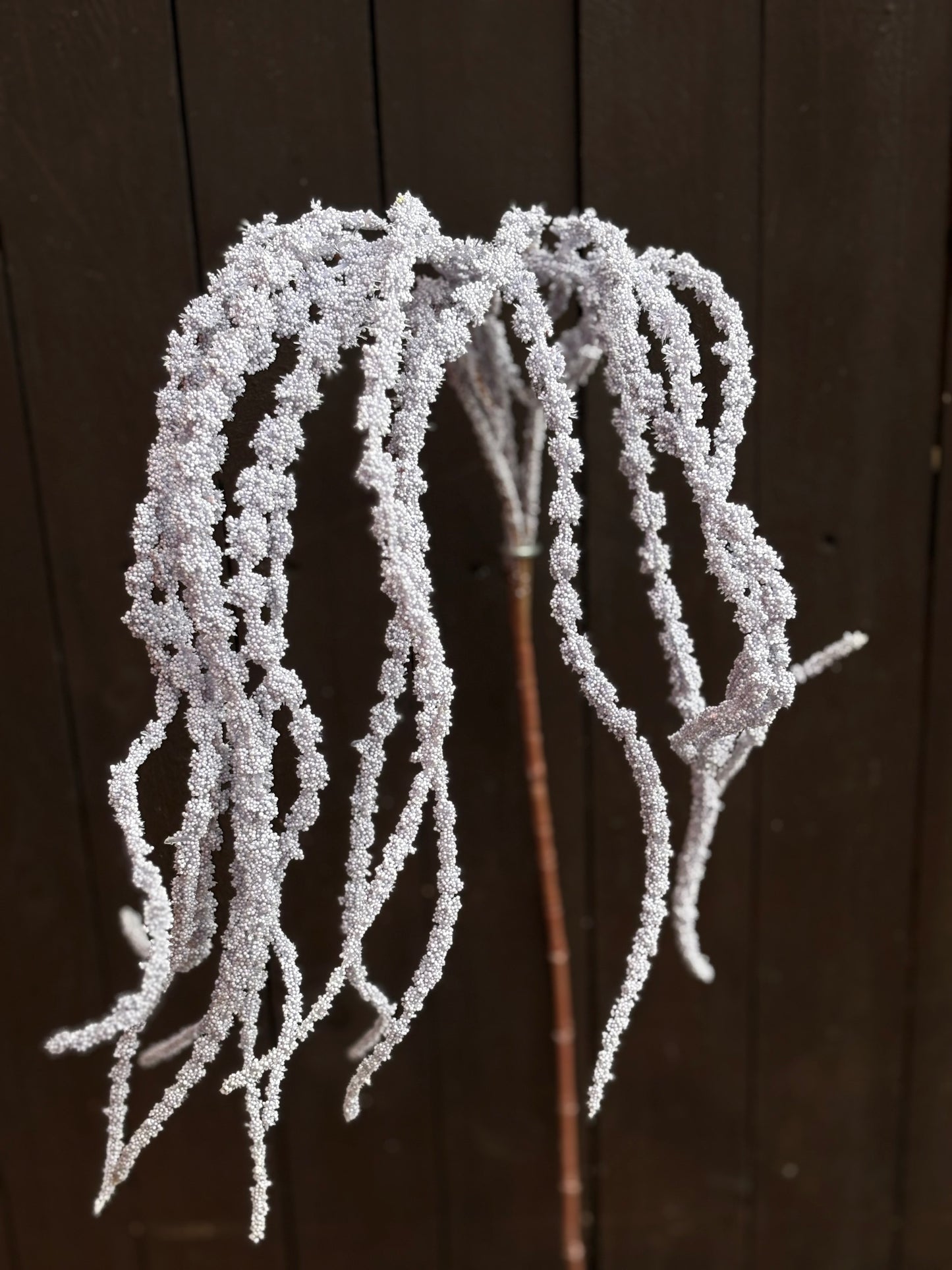 SEEDED AMARANTHUS LILAC