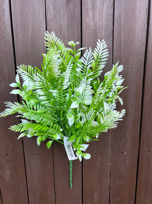 WHITE TIPPED GREENERY