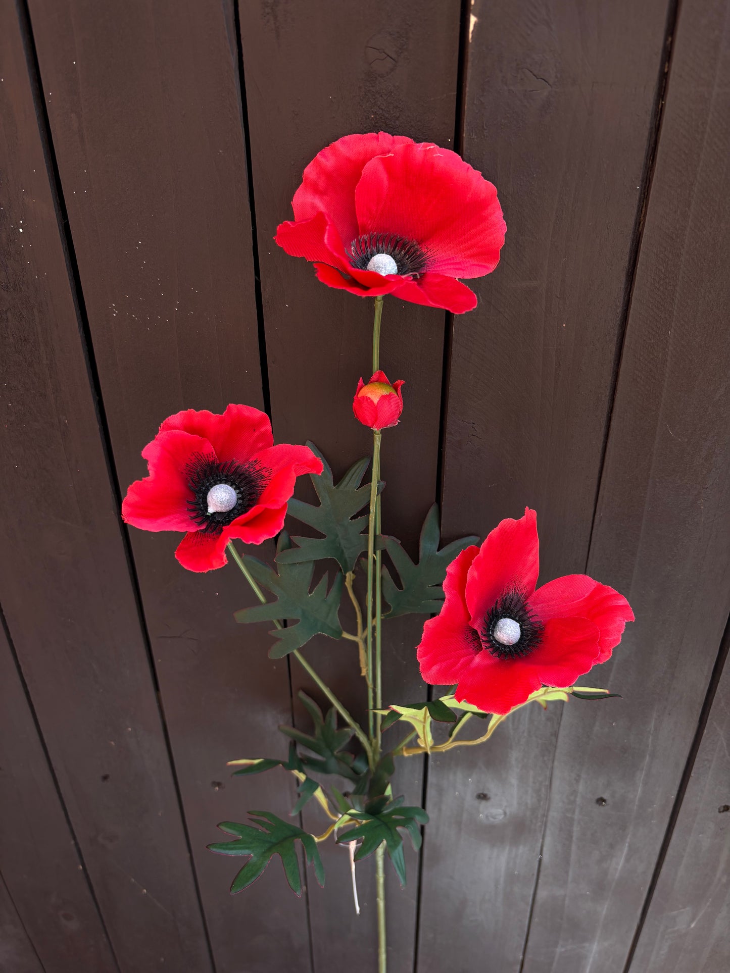 77cm POPPY SPRAY RED