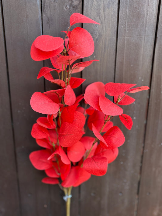 70cm EUCALYPTUS SPRAY RED