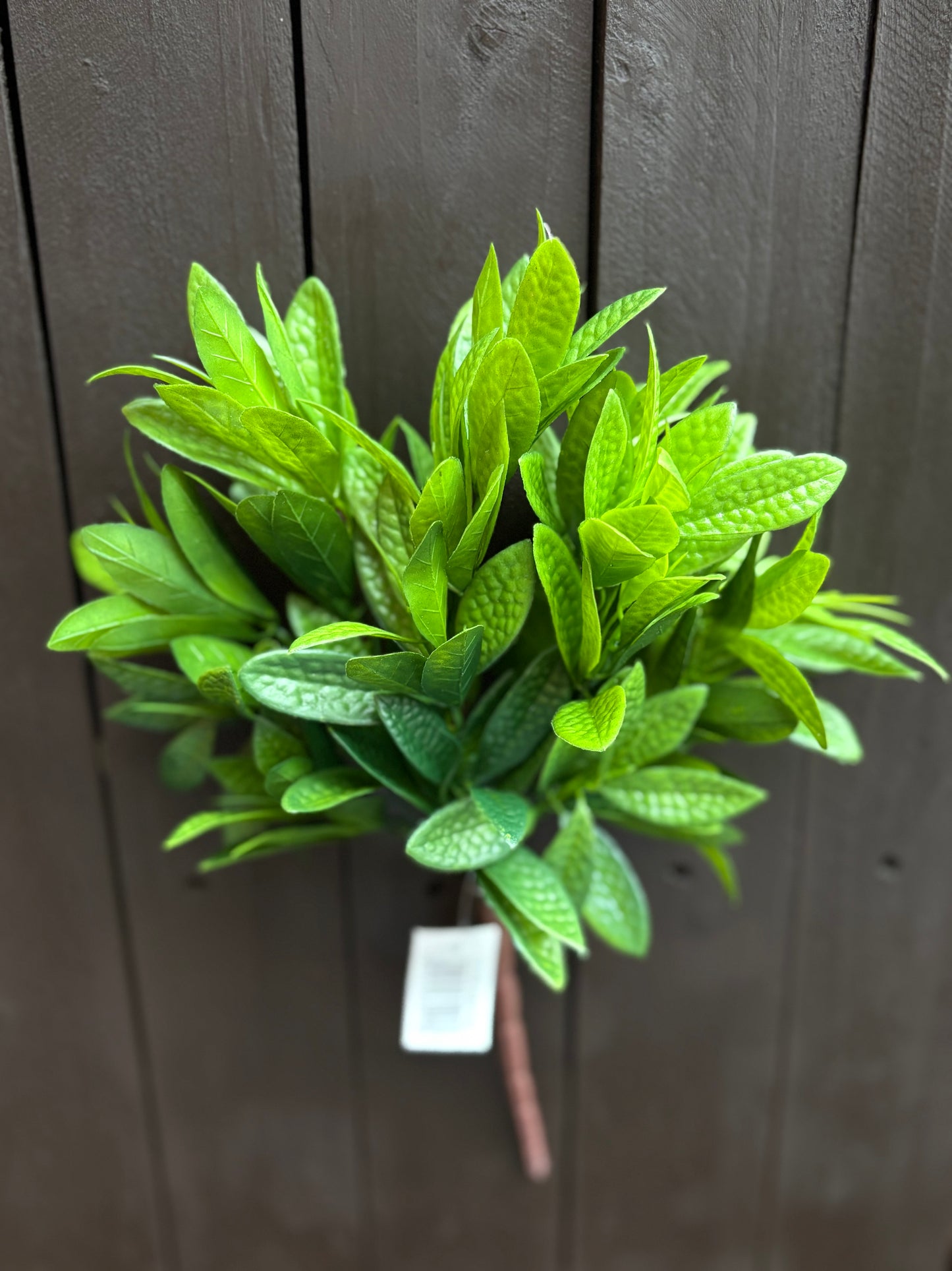 32CM BAY LEAF BUNCH DARK GREEN