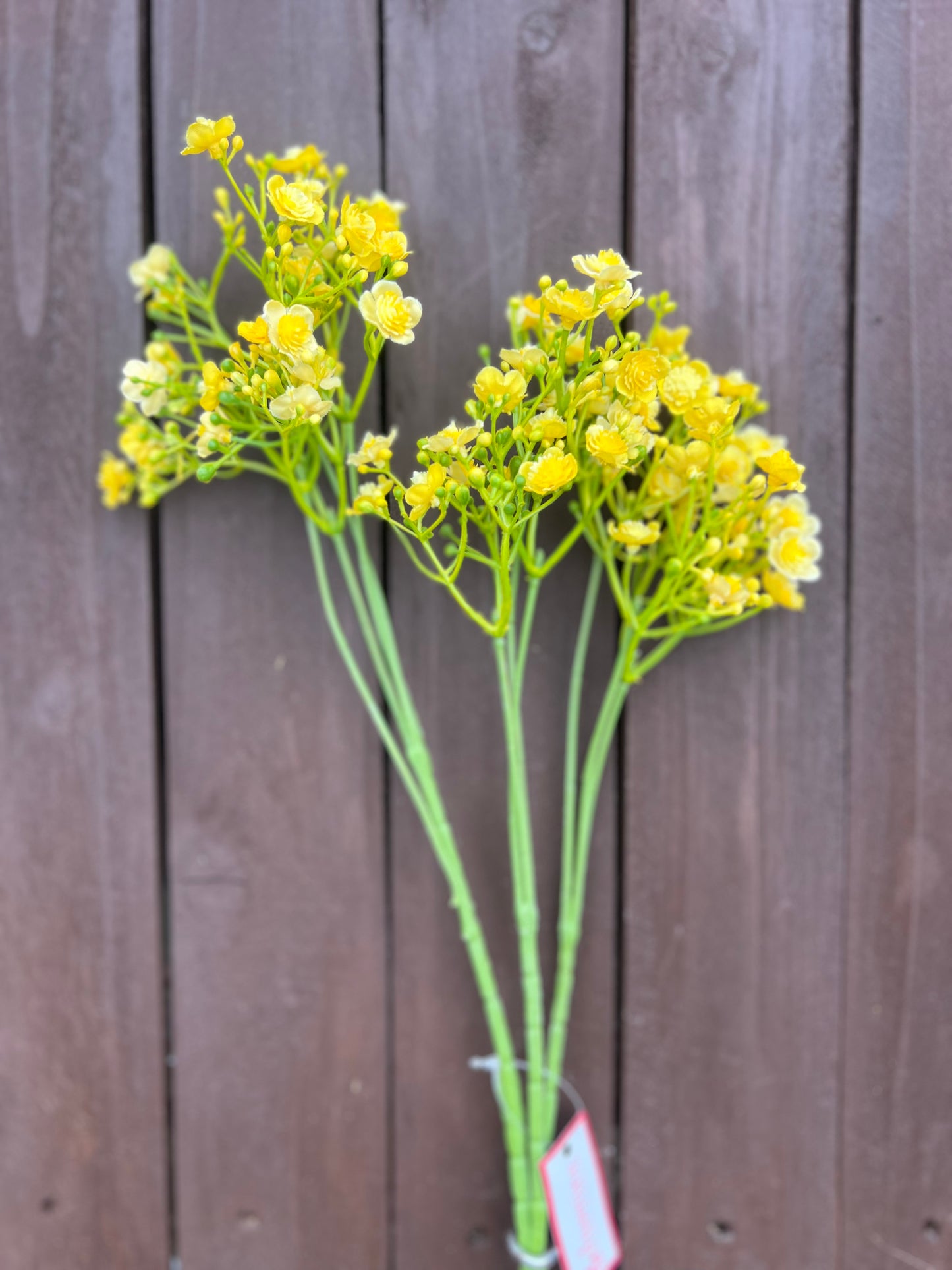 70cm CHLOE GYPSOPHILA LEMON
