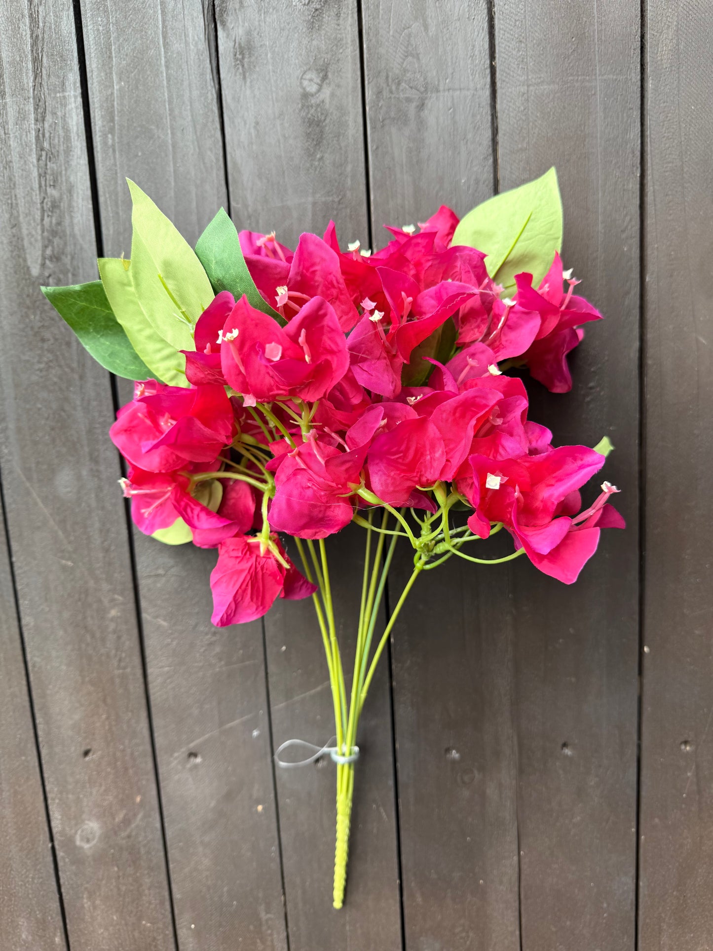 RITZY BOUGAINVILLEA BUNCH CERISE PINK