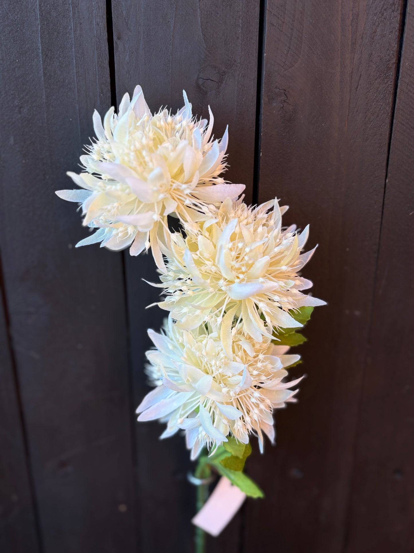 SILK SEEDED TRIPLE POM STEM CREAM