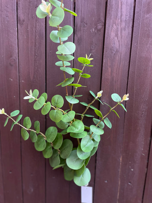 97cm PREMIUM EUCALYPTUS SPRAY GREEN